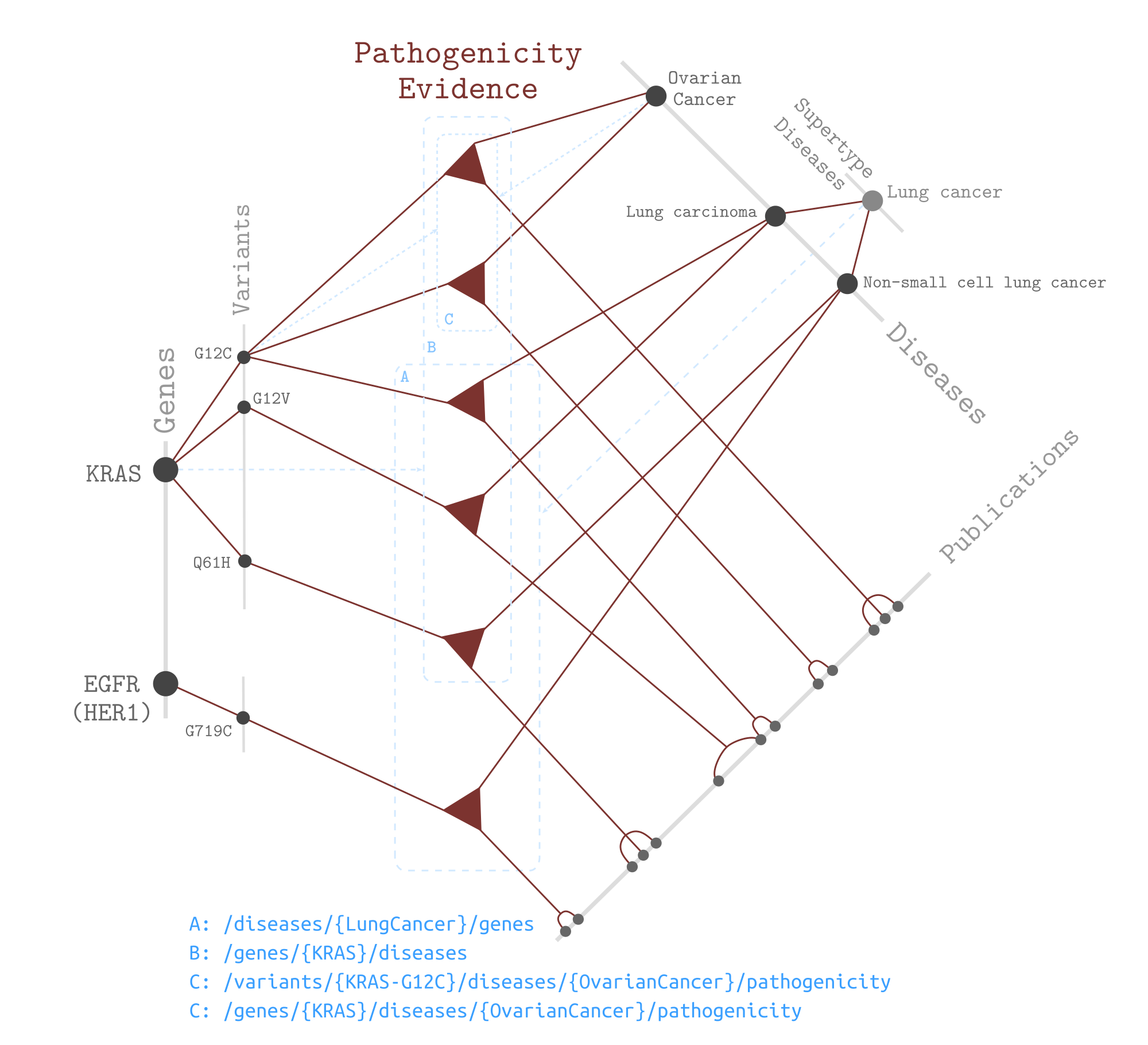 Seeq Pathogenicity Graph